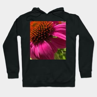 Fly with Pink Echinacea Hoodie